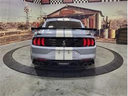 2022 Ford Shelby GT500  (CC-2081709) for sale in Bristol, Pennsylvania