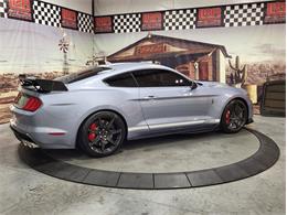 2022 Ford Shelby GT500  (CC-2081709) for sale in Bristol, Pennsylvania