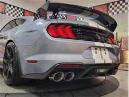 2022 Ford Shelby GT500  (CC-2081709) for sale in Bristol, Pennsylvania