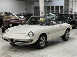 1967 Alfa Romeo Spider Duetto (CC-2080171) for sale in Huntington Station, New York