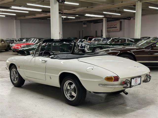 1967 Alfa Romeo Spider Duetto (CC-2080171) for sale in Huntington Station, New York