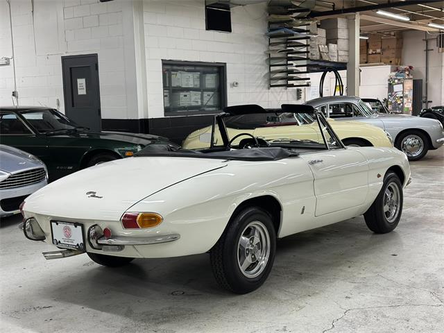 1967 Alfa Romeo Spider Duetto (CC-2080171) for sale in Huntington Station, New York