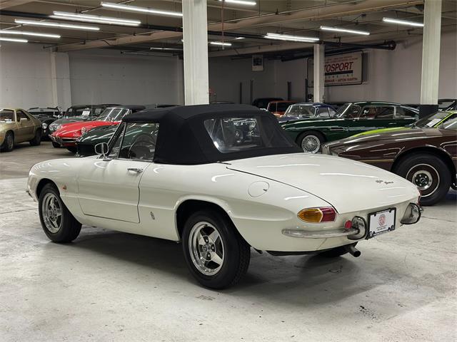 1967 Alfa Romeo Spider Duetto (CC-2080171) for sale in Huntington Station, New York