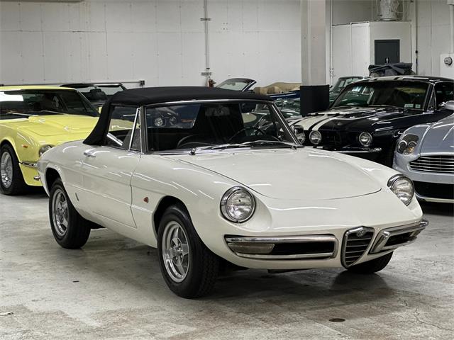 1967 Alfa Romeo Spider Duetto (CC-2080171) for sale in Huntington Station, New York