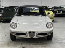 1967 Alfa Romeo Spider Duetto (CC-2080171) for sale in Huntington Station, New York