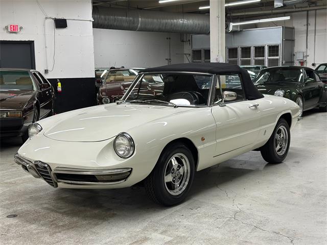 1967 Alfa Romeo Spider Duetto (CC-2080171) for sale in Huntington Station, New York