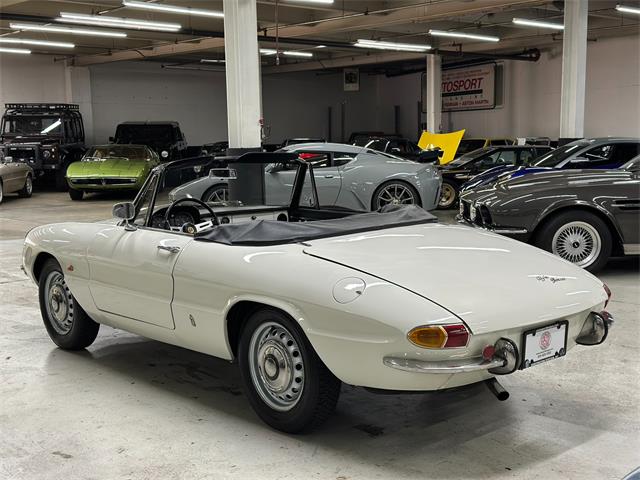 1967 Alfa Romeo Spider Duetto (CC-2080171) for sale in Huntington Station, New York