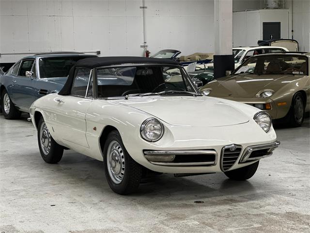 1967 Alfa Romeo Spider Duetto (CC-2080171) for sale in Huntington Station, New York