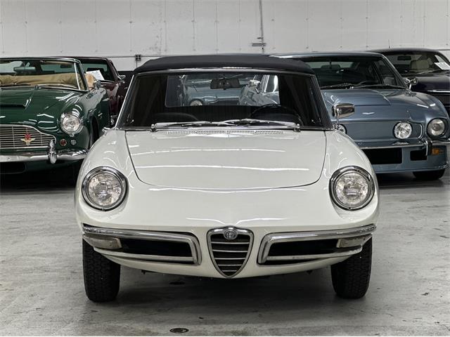 1967 Alfa Romeo Spider Duetto (CC-2080171) for sale in Huntington Station, New York