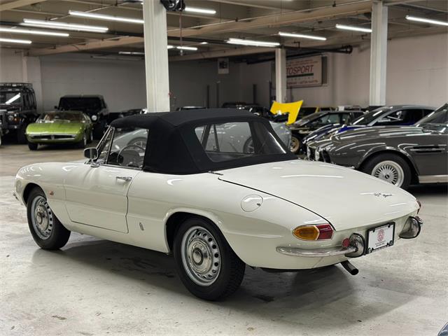1967 Alfa Romeo Spider Duetto (CC-2080171) for sale in Huntington Station, New York