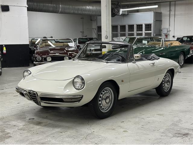 1967 Alfa Romeo Spider Duetto (CC-2080171) for sale in Huntington Station, New York