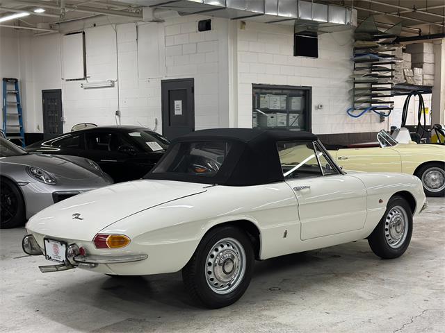 1967 Alfa Romeo Spider Duetto (CC-2080171) for sale in Huntington Station, New York