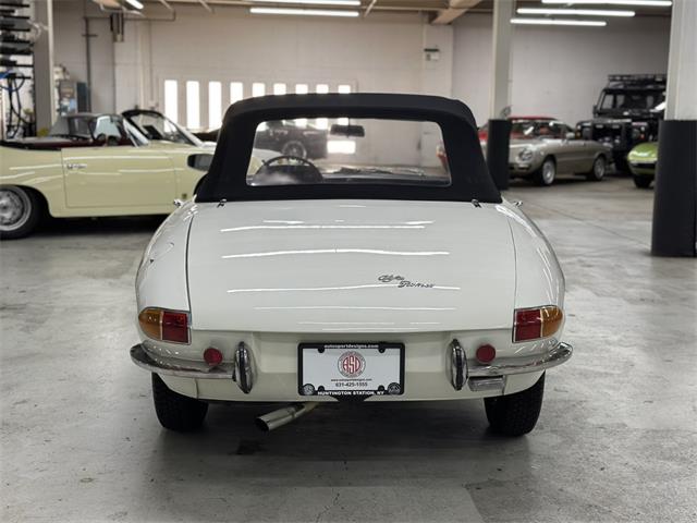 1967 Alfa Romeo Spider Duetto (CC-2080171) for sale in Huntington Station, New York