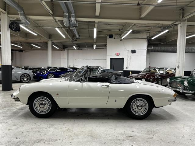 1967 Alfa Romeo Spider Duetto (CC-2080171) for sale in Huntington Station, New York