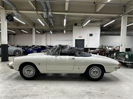 1967 Alfa Romeo Spider Duetto (CC-2080171) for sale in Huntington Station, New York