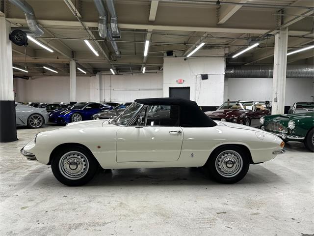 1967 Alfa Romeo Spider Duetto (CC-2080171) for sale in Huntington Station, New York