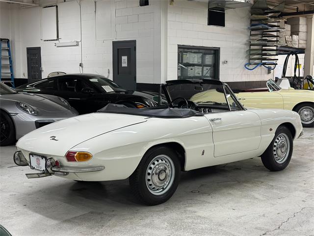1967 Alfa Romeo Spider Duetto (CC-2080171) for sale in Huntington Station, New York