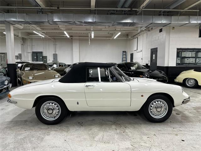 1967 Alfa Romeo Spider Duetto (CC-2080171) for sale in Huntington Station, New York