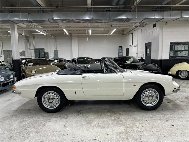 1967 Alfa Romeo Spider Duetto (CC-2080171) for sale in Huntington Station, New York