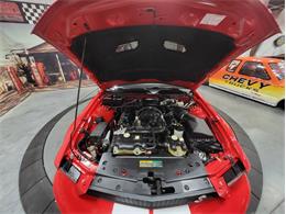 2007 Ford Shelby GT500  (CC-2081713) for sale in Bristol, Pennsylvania