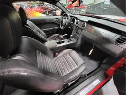 2007 Ford Shelby GT500  (CC-2081713) for sale in Bristol, Pennsylvania