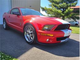 2007 Ford Shelby GT500  (CC-2081713) for sale in Bristol, Pennsylvania