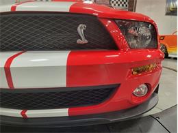 2007 Ford Shelby GT500  (CC-2081713) for sale in Bristol, Pennsylvania