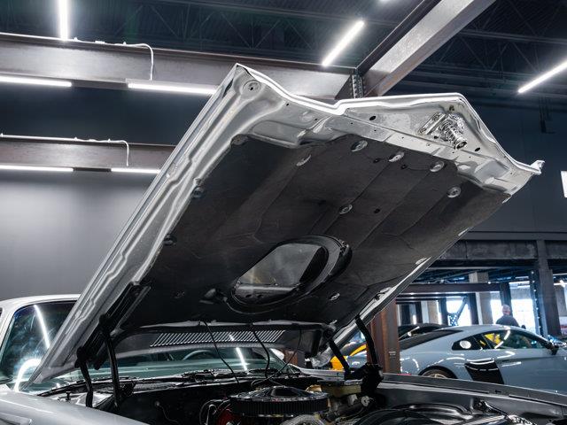 1981 Chevrolet Camaro (CC-2081745) for sale in Sherwood Park, Alberta