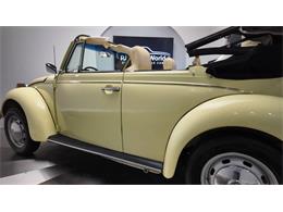 1977 Volkswagen Beetle Convertible (CC-2081748) for sale in Clearwater, Florida