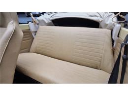 1977 Volkswagen Beetle Convertible (CC-2081748) for sale in Clearwater, Florida