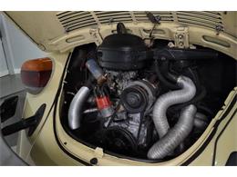 1977 Volkswagen Beetle Convertible (CC-2081748) for sale in Clearwater, Florida