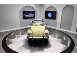 1977 Volkswagen Beetle Convertible (CC-2081748) for sale in Clearwater, Florida