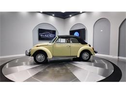 1977 Volkswagen Beetle Convertible (CC-2081748) for sale in Clearwater, Florida