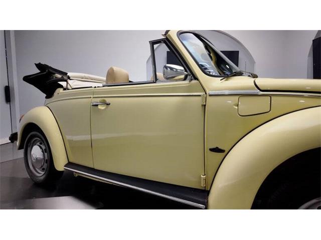 1977 Volkswagen Beetle Convertible (CC-2081748) for sale in Clearwater, Florida