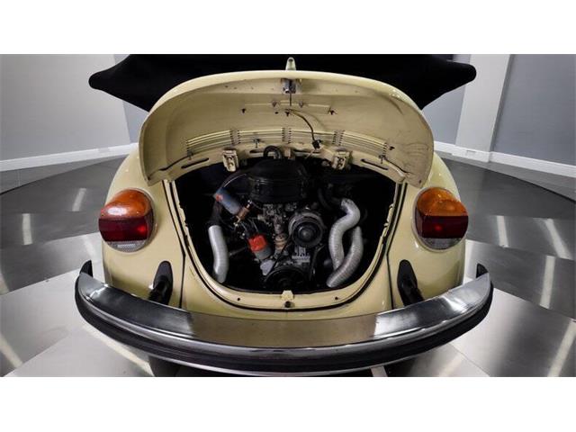 1977 Volkswagen Beetle Convertible (CC-2081748) for sale in Clearwater, Florida