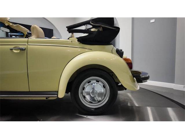 1977 Volkswagen Beetle Convertible (CC-2081748) for sale in Clearwater, Florida