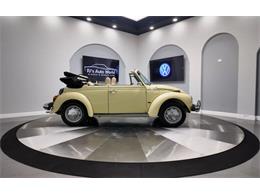 1977 Volkswagen Beetle Convertible (CC-2081748) for sale in Clearwater, Florida
