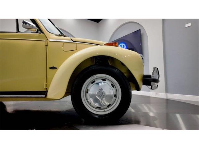 1977 Volkswagen Beetle Convertible (CC-2081748) for sale in Clearwater, Florida