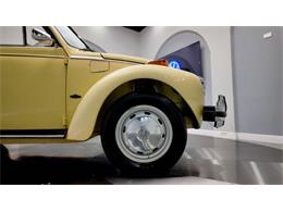 1977 Volkswagen Beetle Convertible (CC-2081748) for sale in Clearwater, Florida