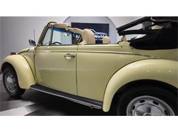 1977 Volkswagen Beetle Convertible (CC-2081748) for sale in Clearwater, Florida