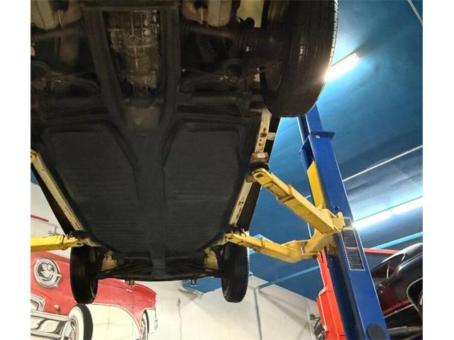 1977 Volkswagen Beetle Convertible (CC-2081748) for sale in Clearwater, Florida