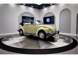 1977 Volkswagen Beetle Convertible (CC-2081748) for sale in Clearwater, Florida
