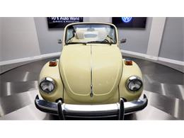 1977 Volkswagen Beetle Convertible (CC-2081748) for sale in Clearwater, Florida