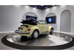 1977 Volkswagen Beetle Convertible (CC-2081748) for sale in Clearwater, Florida