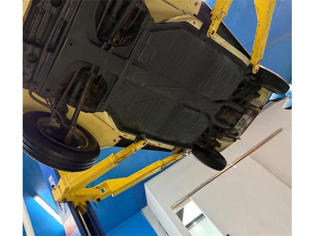 1977 Volkswagen Beetle Convertible (CC-2081748) for sale in Clearwater, Florida