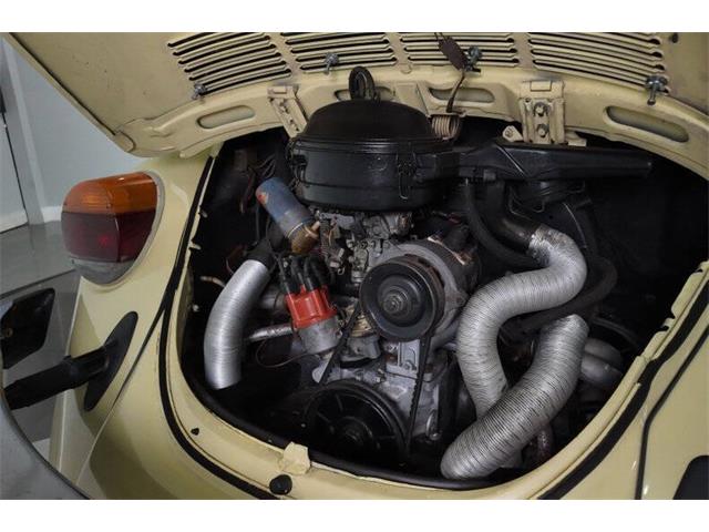 1977 Volkswagen Beetle Convertible (CC-2081748) for sale in Clearwater, Florida