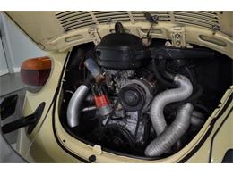 1977 Volkswagen Beetle Convertible (CC-2081748) for sale in Clearwater, Florida