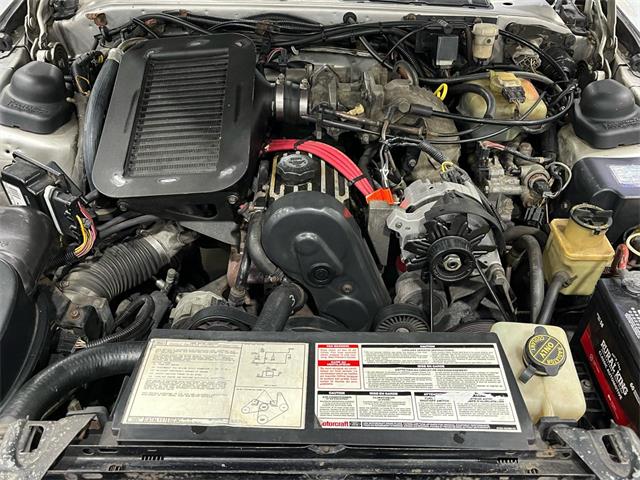 1987 Ford Thunderbird (CC-2081769) for sale in Salem, Ohio