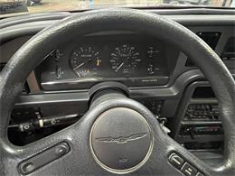 1987 Ford Thunderbird (CC-2081769) for sale in Salem, Ohio