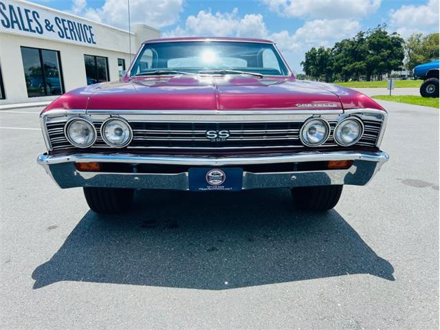 1967 Chevrolet Chevelle (CC-2081801) for sale in Largo, Florida